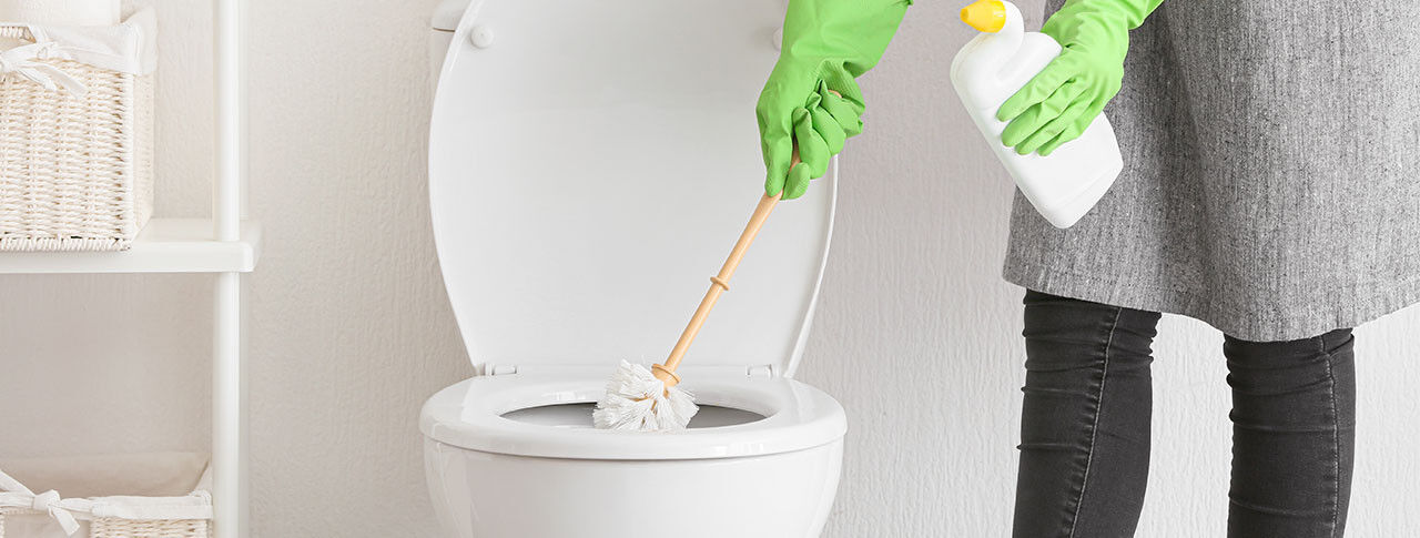WC-Garnitur richtig reinigen und anwenden